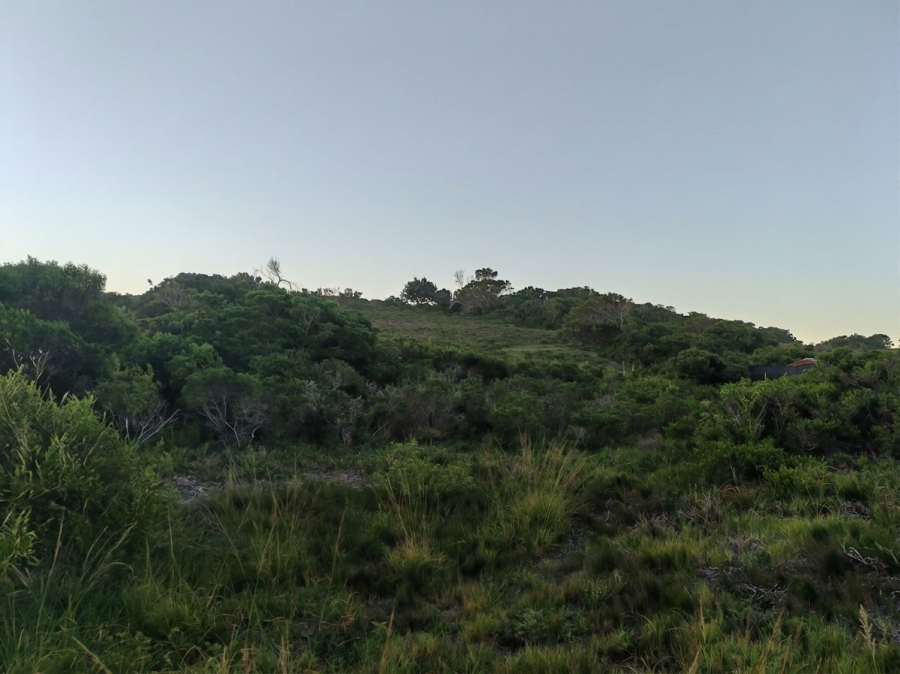0 Bedroom Property for Sale in Cannon Rocks Eastern Cape